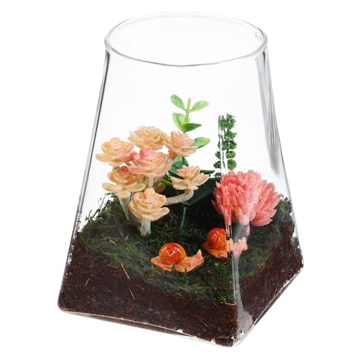 BEBEMOKO Glas Terrarium Flasche Garten Terrarium Vase Pflanzenhalter für Mikrolandschaften und Blumen Dekorative Anzuchtstation Pflanzbehälter von BEBEMOKO