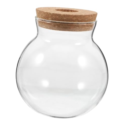 BEBEMOKO Mikro-Landschafts-Flasche, Mikro-Landschaft, Glas, Hydrokulturbehälter, Fischglas, Anzuchtvase, Sukkulenten, Terrarium, Desktop, Aquarium, Holz, transparent von BEBEMOKO