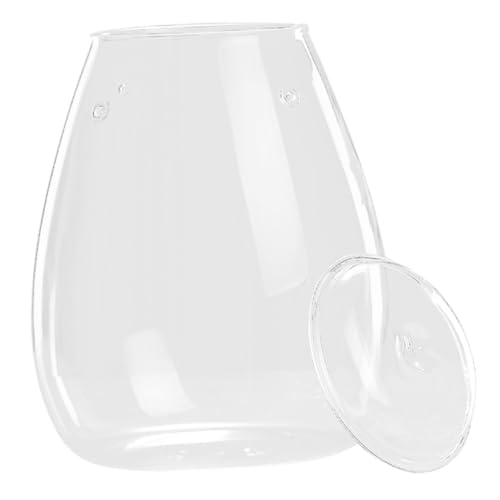 BEBEMOKO Moos-öko-Flasche Hydrokulturvase Micro-landschafts-DIY-Flasche Moos Ökologische Flasche Terrarium Transparente Flasche Mikro-landschaftsflasche Terrarienflasche Tischschmuck Glas von BEBEMOKO