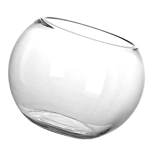 BEBEMOKO Transparente Glasschale, Vase, rund, Glas-Terrarium, Pflanzgefäß für Fischpflanzen und dekorative Displays für den Innen- und Außenbereich, Durchmesser von BEBEMOKO