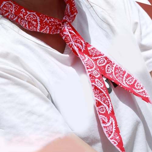 Bequemer Kühlender Halstuch Für Hunde Und Haustiere Kühle Schals Kühlende Bandanas Geeignet Für Outdoor Sport Und Reisen Kühlender Schal von BEBIKR