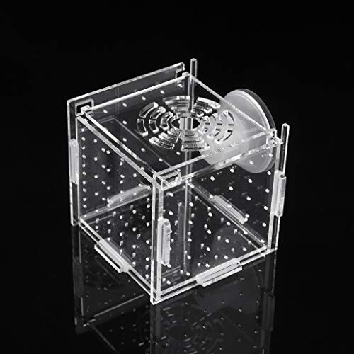 Fish For Tank Hatchery Inkubator Aquarium Breeding Box Acrylic Breeder Isolation Hatching Boxes With Suction Cup Aquarium Tank von BEBIKR