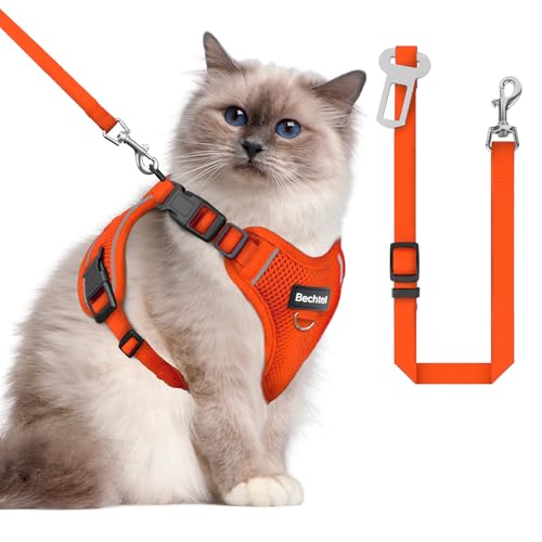 Katzengeschirr und Leine zum Spazierengehen, das Upgrade kann in vier Richtungen eingestellt werden und atmungsaktives Katzengeschirr gegen Flucht, das angepasst und positioniert werden kann Katzengeschirr und Leine zum Spazierengehen, das Upgrade kann in vier Richtungen eingestellt werden und atmungsaktives Katzengeschirr gegen Flucht, das angepasst und positioniert werden kann von BECHTEL