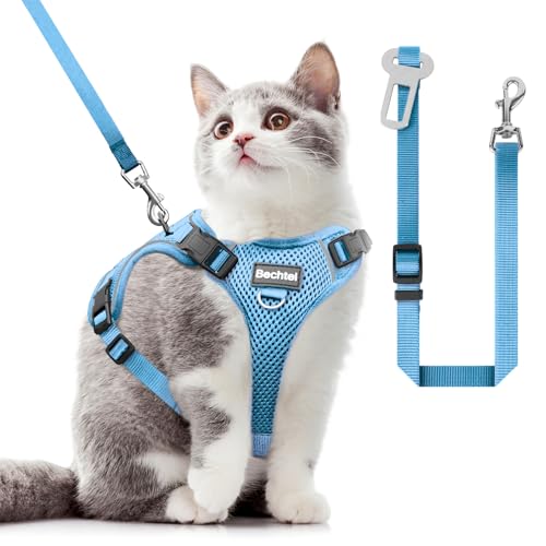 Katzengeschirr und Leine zum Spazierengehen, in vier Richtungen verstellbar und atmungsaktiv, ausbruchsicher, anpassbar, reflektierende Streifen, blau, Größe XS Katzengeschirr und Leine zum Spazierengehen, in vier Richtungen verstellbar und atmungsaktiv, ausbruchsicher, anpassbar, reflektierende Streifen, blau, Größe XS von BECHTEL