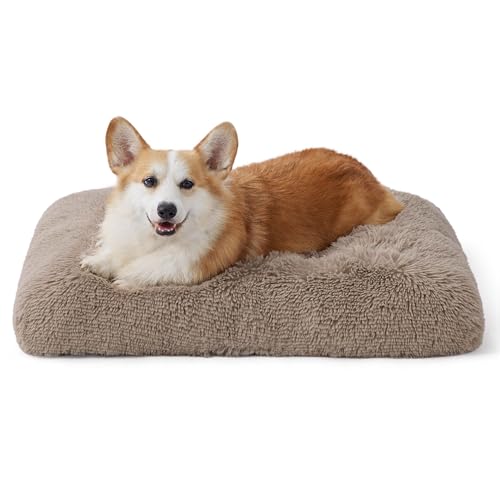 BEDSURE Flauschiges Hundebett Grosse Hunde - 74x53x8 cm Hundebett waschbar für große Hunde, rutschfeste Unterseite, plüsch Hundekissen Grosse Hunde, Kamel von BEDSURE