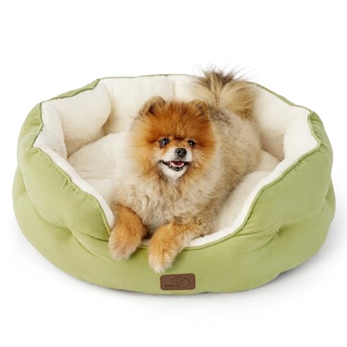 BEDSURE Katzenbett waschbar Katzen Bettchen - 63x53x20cm Katzen Bett mit Zweiseitig Innenkissen Katzenschlafplatz für Katzen oder kleine Hunde,hellgrün von BEDSURE