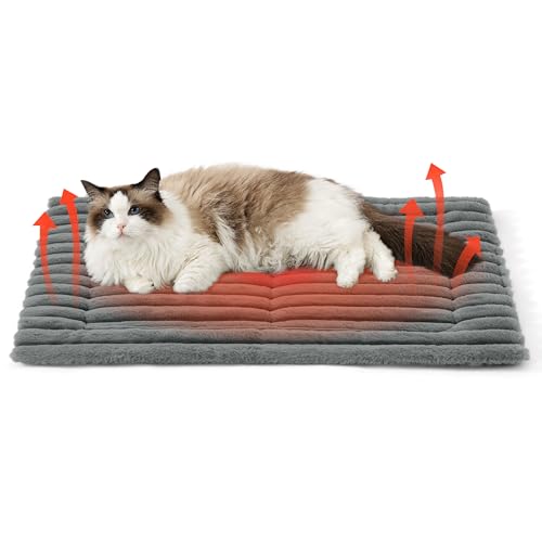 BEDSURE Selbstwärmende Hundematte für kleine Hunde – Katzendecke für große Katzen mit Rutschfester Unterseite und seitlichem Griff, kleine Hundekäfigmatratze für Welpen und Katzen, 76 x 50 cm, grau von BEDSURE