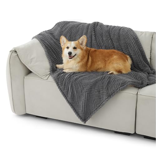 BEDSURE Waschbar Hundedecke Grosse Hunde - 120x100 cm Hundedecke Sofa aus Coral Fleece, Hundedecke Flauschig und Weich, Katzendecke für Katzen, Haustier Decke für Unterwegs, Bed, Sofa, Dunkelgrau von BEDSURE