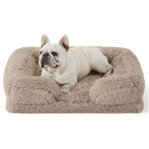 BEDSURE orthopädisches Hundebett Ergonomisches Hundesofa - 71x58 cm Hundecouch mit eierförmiger Kistenschaum für kleine Hunde, waschbar rutschfest Hundebetten, Kamel von BEDSURE