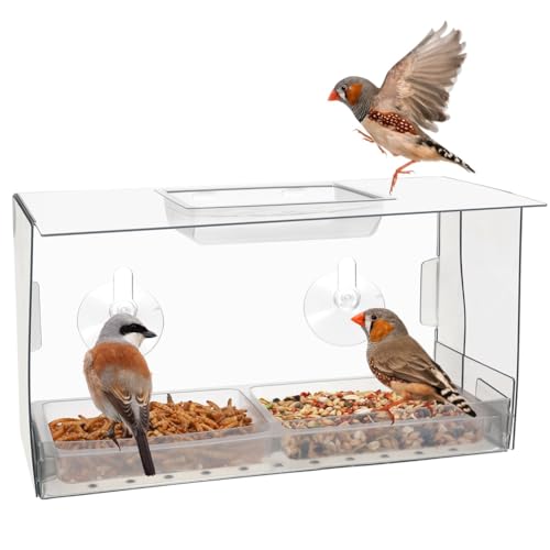 BEEOFICEPENG Vogelhäuschen für Fenster. Vögel Fressen Ungestört, Während Sie Zuschauen. Innovative Fenster-Vogelhäuschen mit Starken Saugnäpfen von BEEOFICEPENG