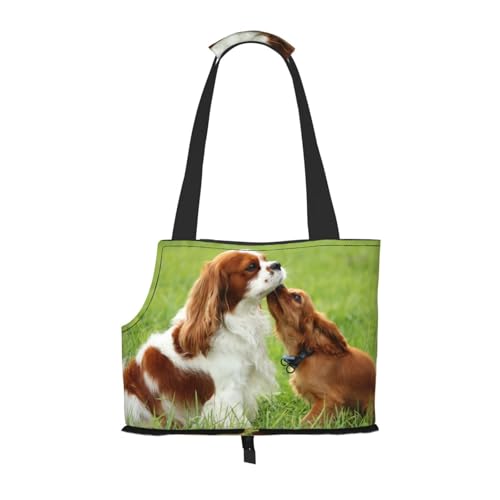 Tragetasche für Haustiere, tragbare Reise-Hundehandtasche mit Sicherheits-Metallschnalle für U-Bahn-Wanderungen, Cavalier King Charles Spaniel von BEEOFICEPENG