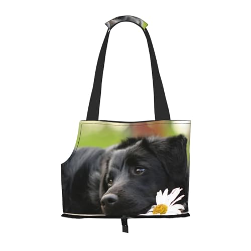 Tragetasche für Haustiere, tragbare Reise-Hundehandtasche mit Sicherheits-Metallschnalle für U-Bahn-Wanderungen, Schwarzer Labrador Kamille Schwarz Retriever Hunde von BEEOFICEPENG