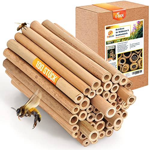 200x BEESI Nisthülsen Bambus für Bienenhotel I 14 cm Länge I Bambusrohr für Insektenhotel I Füllmaterial Wildbienen Zubehör von BEESI