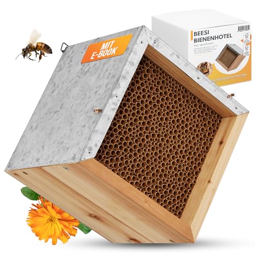 BEESI Bienenhotel mit Metalldach I 600 Nisthülsen aus Pappe 6 & 8 mm Ø I Insektenhotel zum hängen I Wildbienenhotel stabile Aufhängung I + E-Book von BEESI