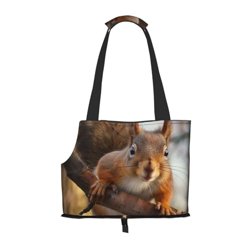 Faltbare Haustiertasche mit Eichhörnchen-Motiv, tragbar, für Welpen, Katzen, Reisetasche, Haustier-Tragetasche, Rucksäcke von BEIVGOXL