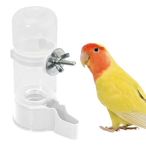 BELEFU Automatischer Vogelwasserspender, 133 ml, Kunststoff, hängende Vogelbewässerung, kein Durcheinander, Sittich, Wasserspender für Käfigfütterung, Papageien, Nymphensittiche, Wellensittiche (weiß) von BELEFU