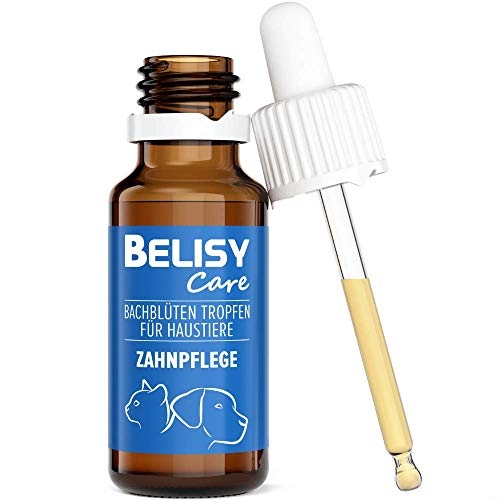 BELISY Bachblüten Zahnpflege Tropfen für Hunde & Katzen - Spezial Bachblütenmischung für Zähne mit Thymian & Pfefferminze - 20 ml von BELISY