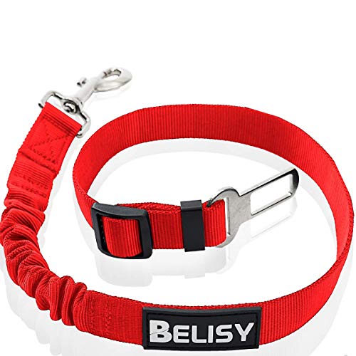 BELISY Hunde Sicherheitsgurt fürs Auto I passend für alle Hunderassen I Rot von BELISY