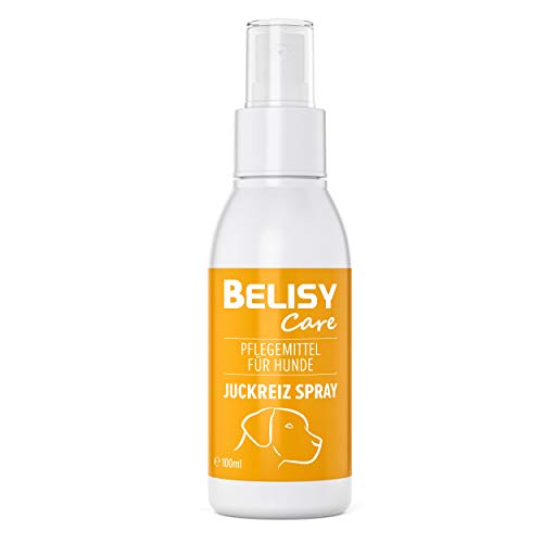 BELISY Juckreiz Spray für Hunde - 100 ml - Mittel gegen Juckreiz durch trockene Haut & Milben - Hautpflege & Fellpflege für Haustiere - Pflegespray mit Panthenol, Lavendel, Ringelblume & Teebaum von BELISY