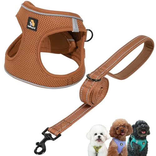 BELLA & PAL Hundegeschirr Kleine Hunde mit Leine, Step-in Geschirr aus Air Mesh, Anti Zug Reflektierend Atmungsaktiv Brustgeschirr, Welpengeschirr für Kleine Hunde, Katzengeschirr, Mokka, XS von BELLA & PAL