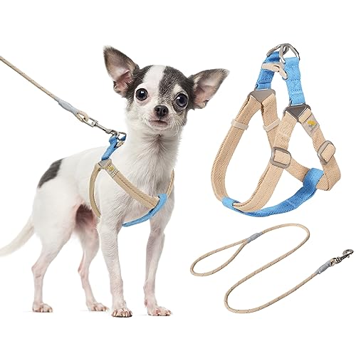 BELLA & PAL Hundegeschirr und Leine Set, Weiche Nylon Hundegeschirr für Extra Kleine Hunde, Step-in Welpengeschirr Atmungsaktives Leichte Hundegeschirr, Verstellbares Brustgeschirr, Blau Khaki, XS von BELLA & PAL