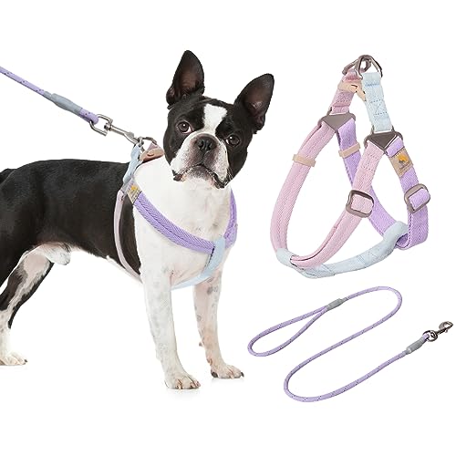 BELLA & PAL Hundegeschirr und Leine Set, Weiche Nylon Hundegeschirr für Kleine & Mittelgroße Hunde, Step-in Welpengeschirr Atmungsaktives Leichte Hundegeschirr, Verstellbares Brustgeschirr, M von BELLA & PAL