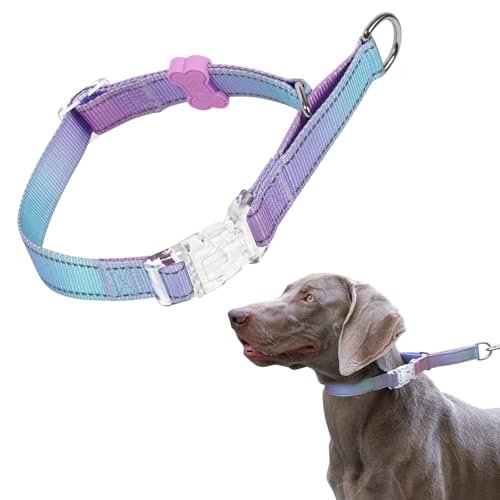 BELLA & PAL Martingale Halsband für Hunde, verstellbares Hundehalsband mit Schnellverschluss-Schnalle, reflektierendes Nylon-Hundehalsband für Training und Spazierengehen, ideal für kleine, von BELLA & PAL