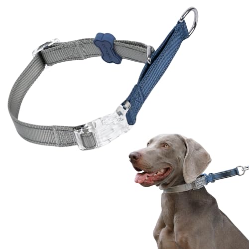 BELLA & PAL Martingale Halsband für Hunde, verstellbares Hundehalsband mit Schnellverschluss-Schnalle, reflektierendes Nylon-Hundehalsband für Training und Spazierengehen, ideal für kleine, von BELLA & PAL