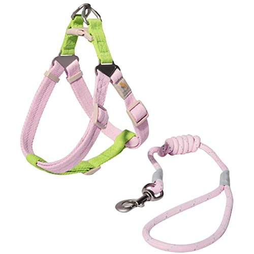 Bella&Pal Hundegeschirr und Leine Set, Welpengeschirr für Extra Kleine Hunde, Verstellbares Geschirr, Anti Zug Hundegeschirr, Ultraleichtes Atmungsaktives Nylon Brustgeschirr, Pink Grün, XS von BELLA & PAL