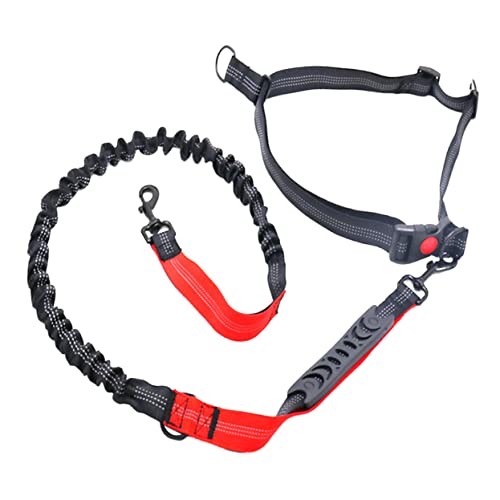 BELLIFFY 1 STK Elastisches Laufseil Zugseil Hundeleine Seil Hunde-Bungee Trainingsleine Für Hunde Hundegeschirre Hundetraining Führen Haustiertraining Heimtiertraining Führen Gürtel Rot von BELLIFFY