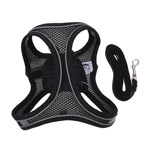 BELLIFFY 1 Satz Haustierleine Brustgurt für Katzen Hundegeschirr verstellbare Hundeleine Hundegurt cat Leash cat Harnesses laufweste Outdoor-Gehgeschirr Haustier Geschirr Mesh-Gewebe Black von BELLIFFY