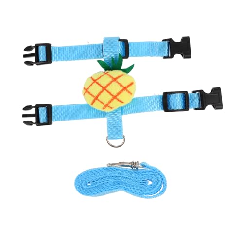 BELLIFFY 1 Satz Leine katzenpflege Katzen Pflege cat Leash katzenzubehör Trainingsseil für Haustiere Katzenhalsbänder Katzengeschirr für den Sommer Katzen-Traktionsseil Polyester Blue von BELLIFFY