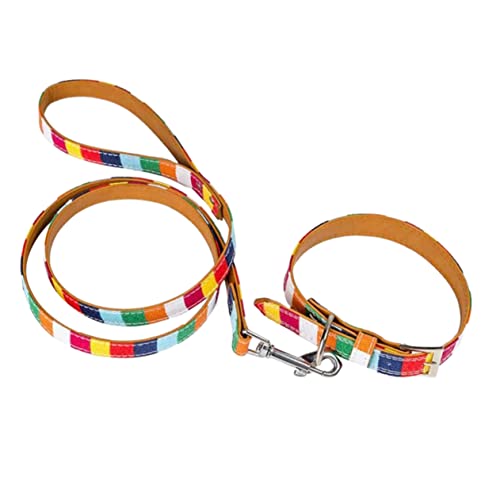 BELLIFFY 1 Satz Schnauzer Halsbandleine Halskette für Haustiere Verstellbarer Kragen Hundehalsbänder und -leinen Welpenband Hundeleine pet Supplies Gürtel Hund zugseil Colorful von BELLIFFY