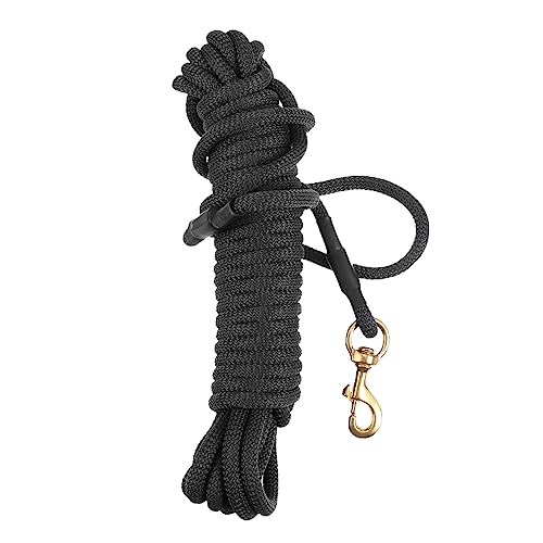 BELLIFFY Outdoor Hund Walking Leine 10m Haustier Leine Robust Hund Für Training Einfach-befestigen Haken von BELLIFFY