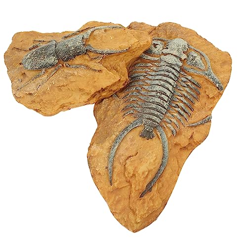 BELLIFFY 2Er-Box simuliertes Harzfossil Eidechsenspielzeug für Kinder Reptiliendekore selber Machen Reptile Decor Terrarium Decor Eidechsen-Reptilien-Dekore Terrarium dekor selber Machen von BELLIFFY