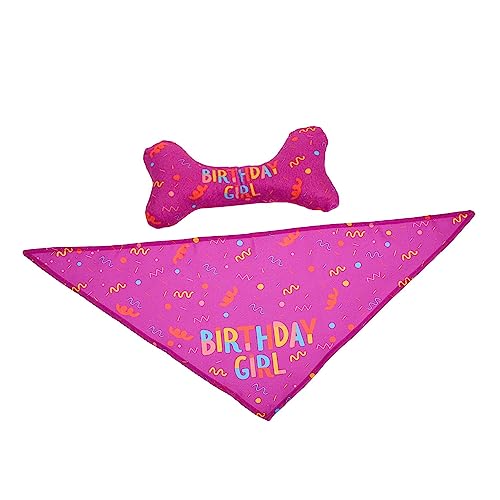 BELLIFFY 2St Haustier Geburtstag Anzug Hund Geburtstag Bandana Haustier-Dreieck-Bandana Hundebandana Knochen Hundebandana Rot Spielzeug simulierter Knochen Speichelhandtuch für Haustiere von BELLIFFY