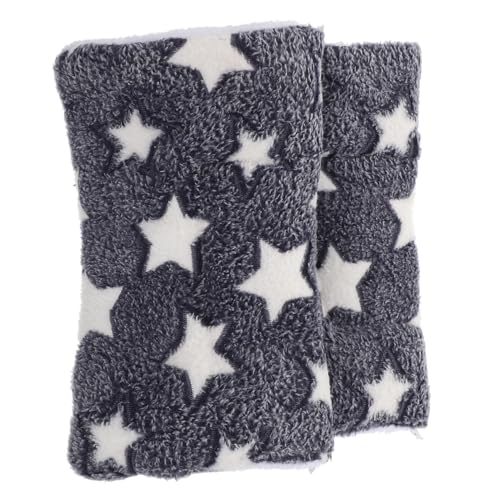 BELLIFFY 2st Haustier-Decke Isomatte Flauschiger Teppich Welpen-Pads Haustier-trainingspads Teppiche Aus Wolle Wollteppiche Wolldecke Winter Haustier Bettmatte Hundedecken Plüsch Hund Stoff von BELLIFFY