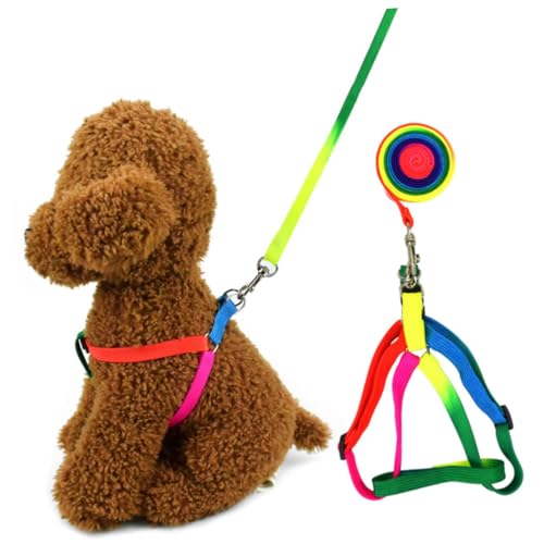 BELLIFFY Praktisches Zugseil für Hunde 2 Stück Heimtierbedarf Geschirr für Hunde Bunte Leine für Outdoor-Aktivitäten von BELLIFFY