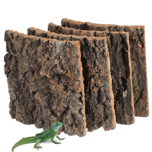 BELLIFFY 4 Stück Aquarium Dekoration Reptil Schildkröte Leopard Natürliche Korkrinde Gecko Drachen Korkrinde Für Terrarien Schlange Kork-Terrarium-Hintergrund Natürliche Kork Rinde von BELLIFFY