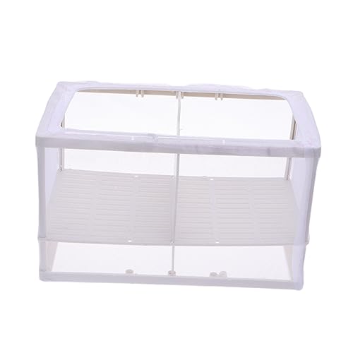 BELLIFFY Aquarium Aufzuchtnetz mit Trennwand und Saugnäpfen Polyesternetz Fischzucht Inkubator Schutz für Jungfische durch Sichere Abtrennung im Fischbecken Zufällige Farbe BELLIFFY Aquarium Aufzuchtnetz mit Trennwand und Saugnäpfen Polyesternetz Fischzucht Inkubator Schutz für Jungfische durch Sichere Abtrennung im Fischbecken Zufällige Farbe von BELLIFFY