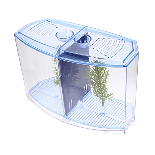 BELLIFFY Betta-Box Aquarium- Mini Fischaquarium Wohnzimmer Landschaft Aquarium Büro-Desktop-Aquarium Brüterei Für Babyfische Kleines Aquariumbecken Aquarien Blue Kunststoff von BELLIFFY