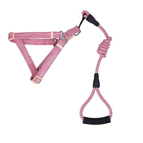 BELLIFFY Brustgurt hundegurt hundelaufband Hundegeschirr hundetransport Hunde Accessories Haustier Geschirr Hundeleine Nr Haustier-Traktionsseil Hund Schnur Leine Zugseil für Haustiere Rosa von BELLIFFY