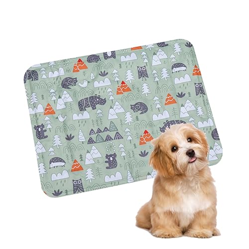 BELLIFFY Haustier kühle Matte Gel kühlpads Gel kühlkissen Easy putz Gel-Kühlmatte Water Proof Haustier-Kühlpads für Hunde Hund schlafmatte hundebett Sommer kühlmatten Hund Coole Matte Green von BELLIFFY