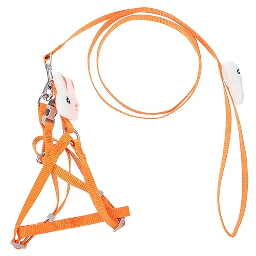 BELLIFFY Haustierleine pet Supplies hundegurt Hunde erziehung Katzen katzenhalsband Trainingsleine für Hunde Haustier Geschirr hundegeschirr Leine Hundegeschirre Polyester Orange von BELLIFFY