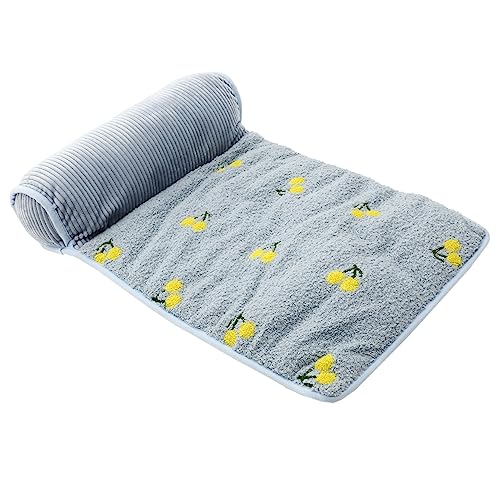 BELLIFFY Haustiermatte Haustiernestkissen Anti-rutsch-Haustier-schlafmatte Waschbares Hundebett Zelt Schlafunterlagen Tierisches Accessoire Schlafdecke Katze Tuch Herbst Und Winter Zwinger von BELLIFFY