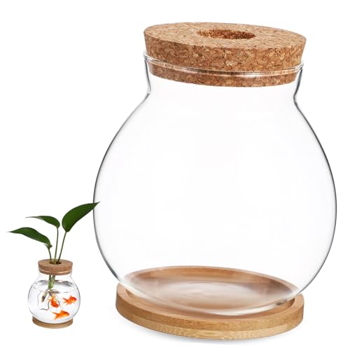 BELLIFFY Hydroponisches Terrarium Aus Kleiner Fischtank Für Betta Fische Mit Bambusunterlage Ideal Für Kaffeetisch Dekoration Und Pflanzenhaltung von BELLIFFY