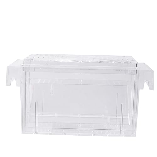 BELLIFFY Kasten Zuchtbecken Für Aquarien Betta Fisch Acryl-Aquarium Isoliertes Aufzuchtbecken Tumbler Inkubator Brutstätte Für Artemia Inkubator Für Fischgarnelen Guppys Transparent von BELLIFFY