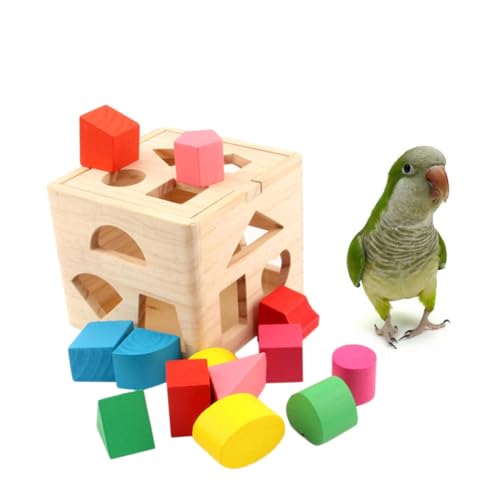 BELLIFFY Papagei-Block-Spielzeug Papageien-trainingsspielzeug Vogel-intelligenzspielzeug Futterspielzeug Für Vögel Kauspielzeug Sittich Spielzeug Für Vogelkäfige Vögel Spielzeug Protokoll von BELLIFFY