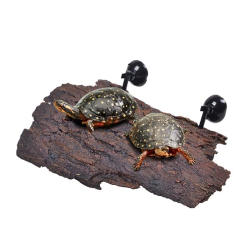 BELLIFFY Schildkröten-Terrasse Schildkröten-Dock Sonnenplattform auf der Schildkröteninsel Plattformrampe für Reptilien schleichtiere Baumschmuck aus Rinde Baumschmuck für Eidechse Coffee von BELLIFFY