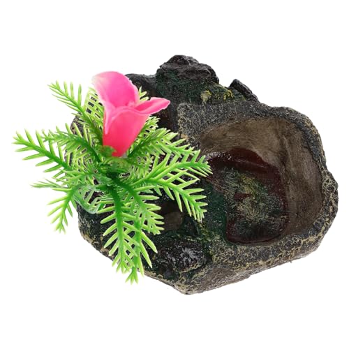 BELLIFFY Futterhalter Für Reptilien Schlangenschale Schildkrötenfutter Futterbehälter Natur Haustierbedarf BELLIFFY Futterhalter Für Reptilien Schlangenschale Schildkrötenfutter Futterbehälter Natur Haustierbedarf von BELLIFFY